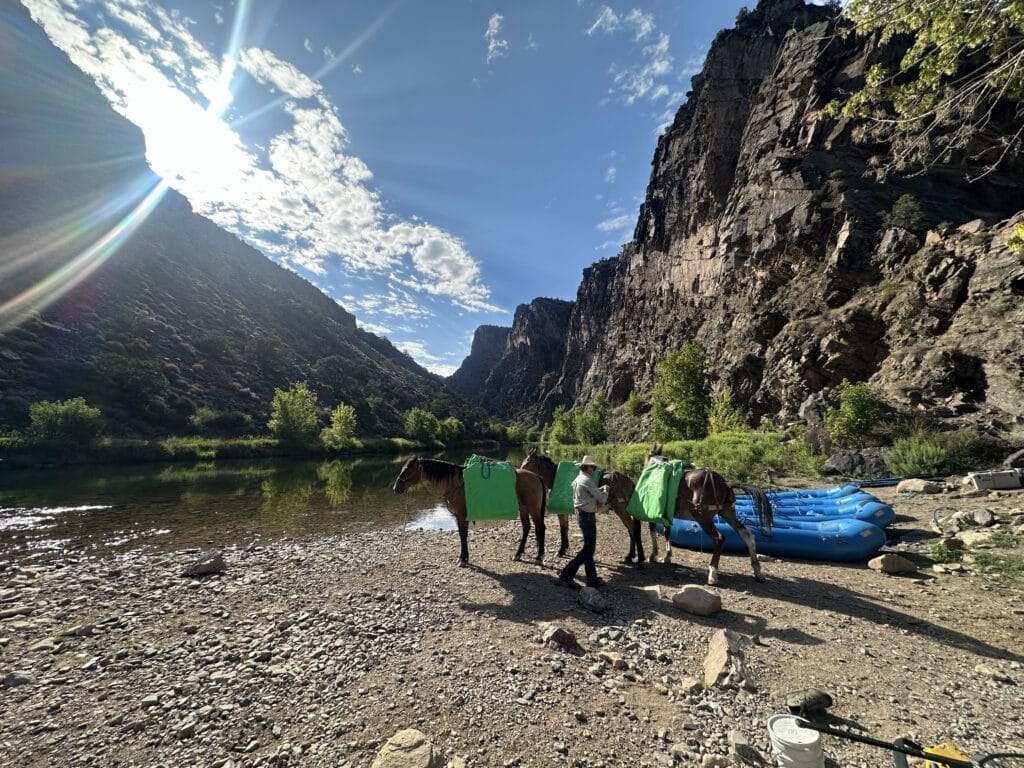mules transporting gear down to the black canyon on the gunnison