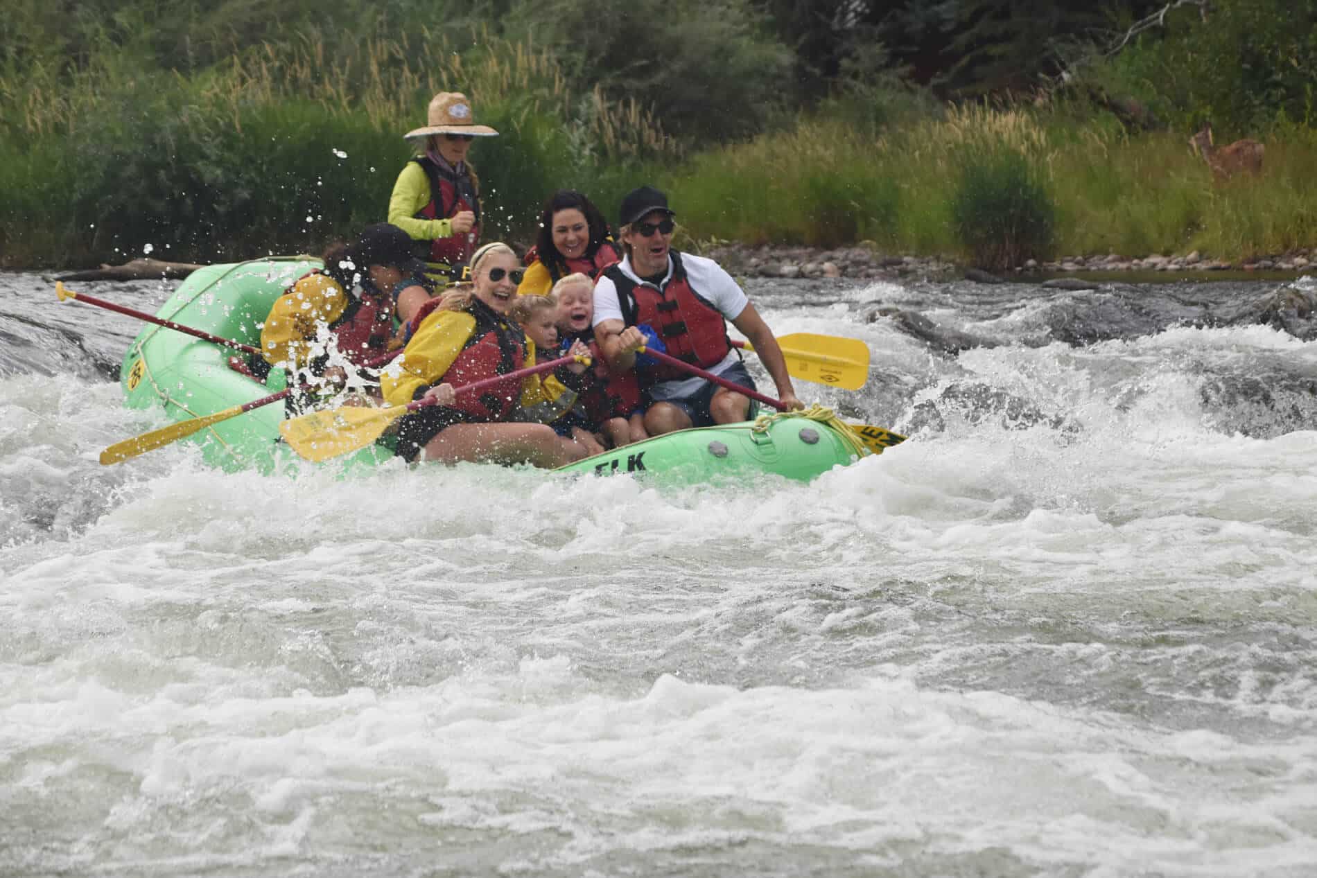 Elk Mountain Expeditions Guided Rafting Tour on the Roaring Fork River