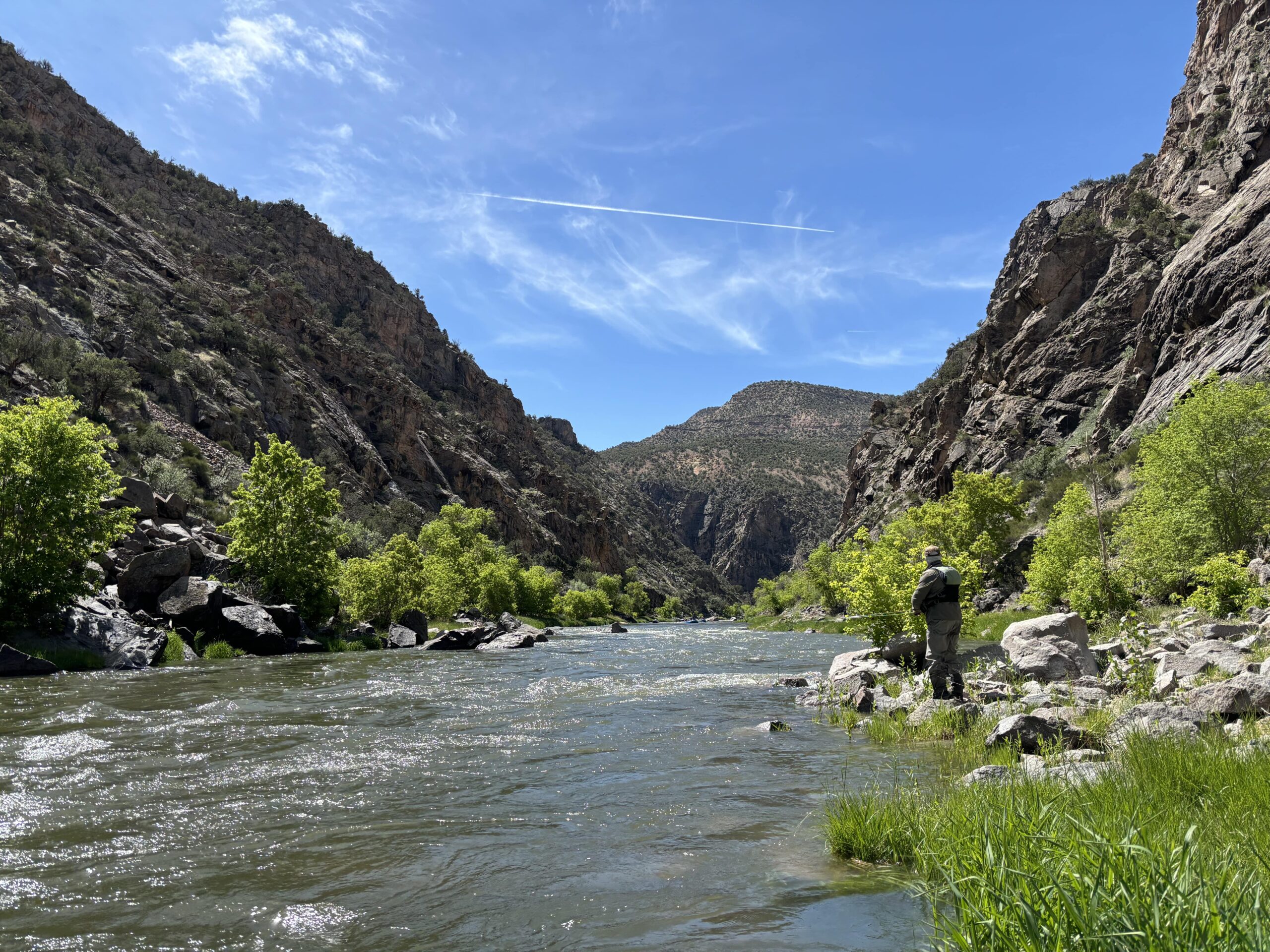 The Best Seasons for Fly Fishing in Aspen, CO: An In-Depth Guide