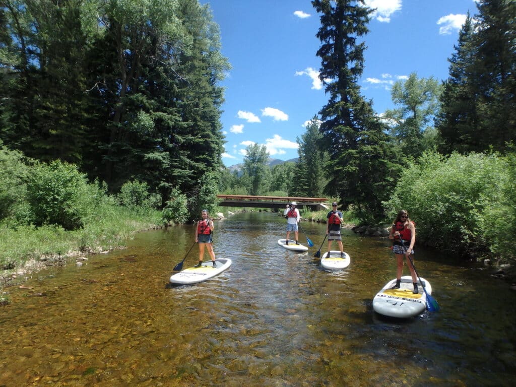 four people on stand up paddle boards float down North Star Nature Preserve