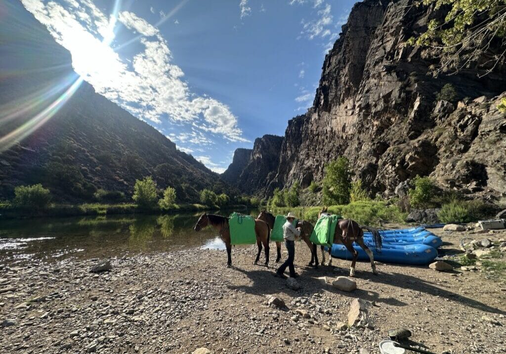 mules transporting gear down to the black canyon on the gunnison