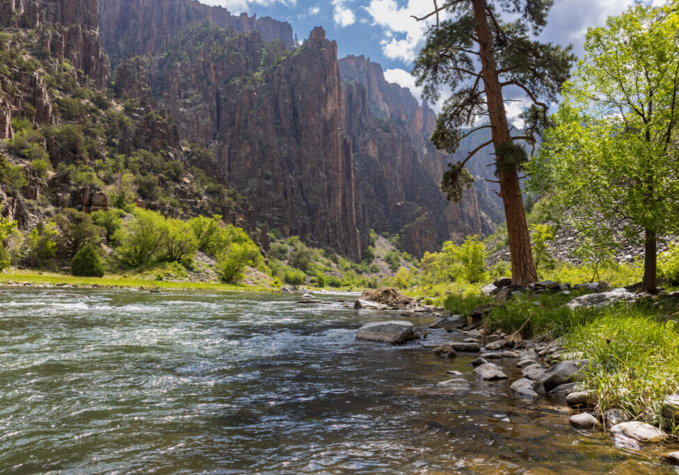 A view from inside Black Canyon of the Gunnison National Park in Colorado by the river at the bottom of the canyon